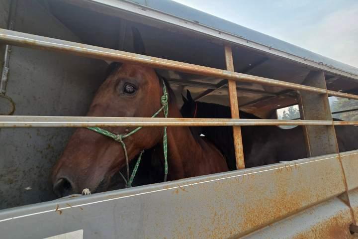 Posted media